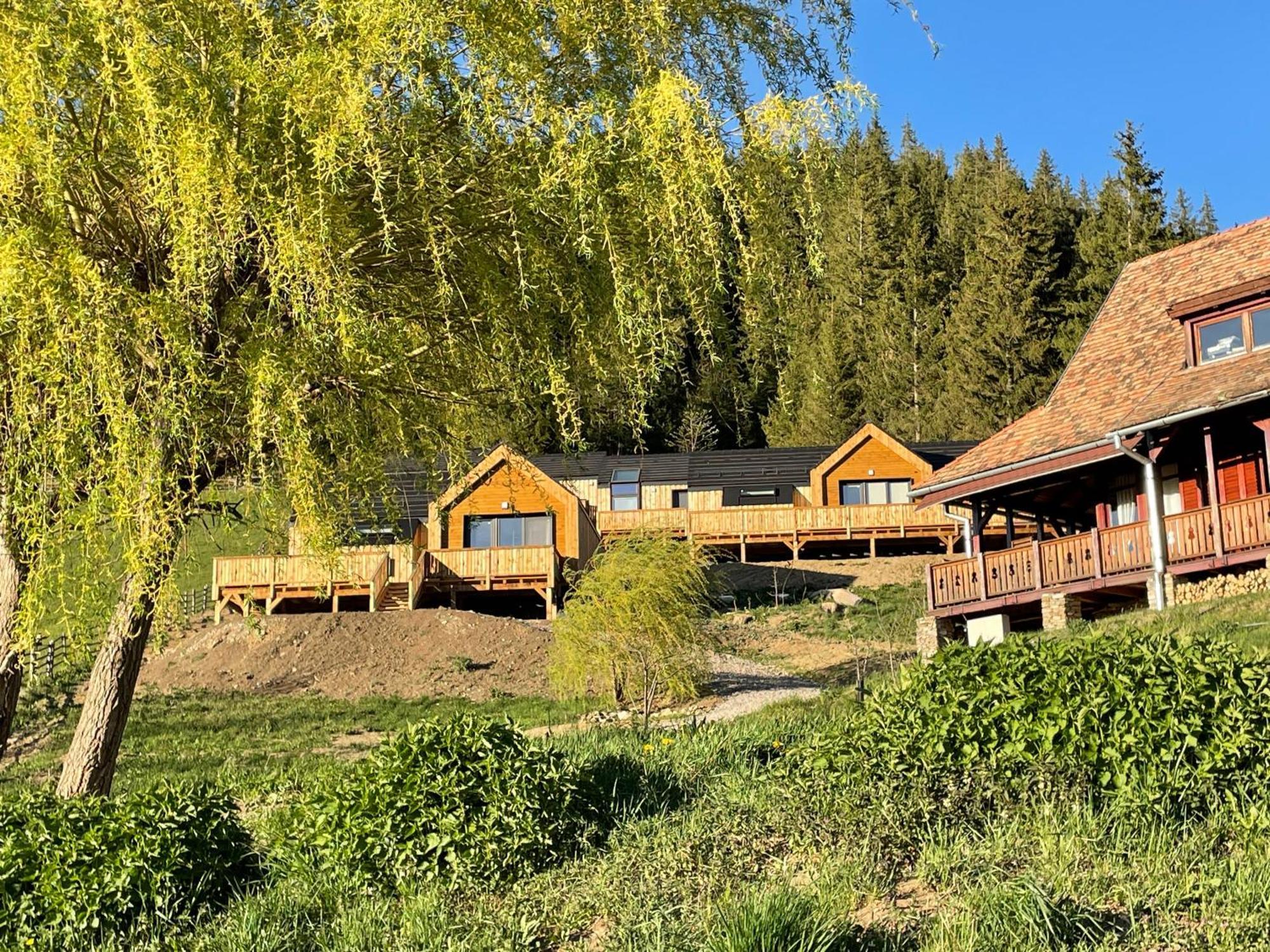 Kaliba * Valea Boros